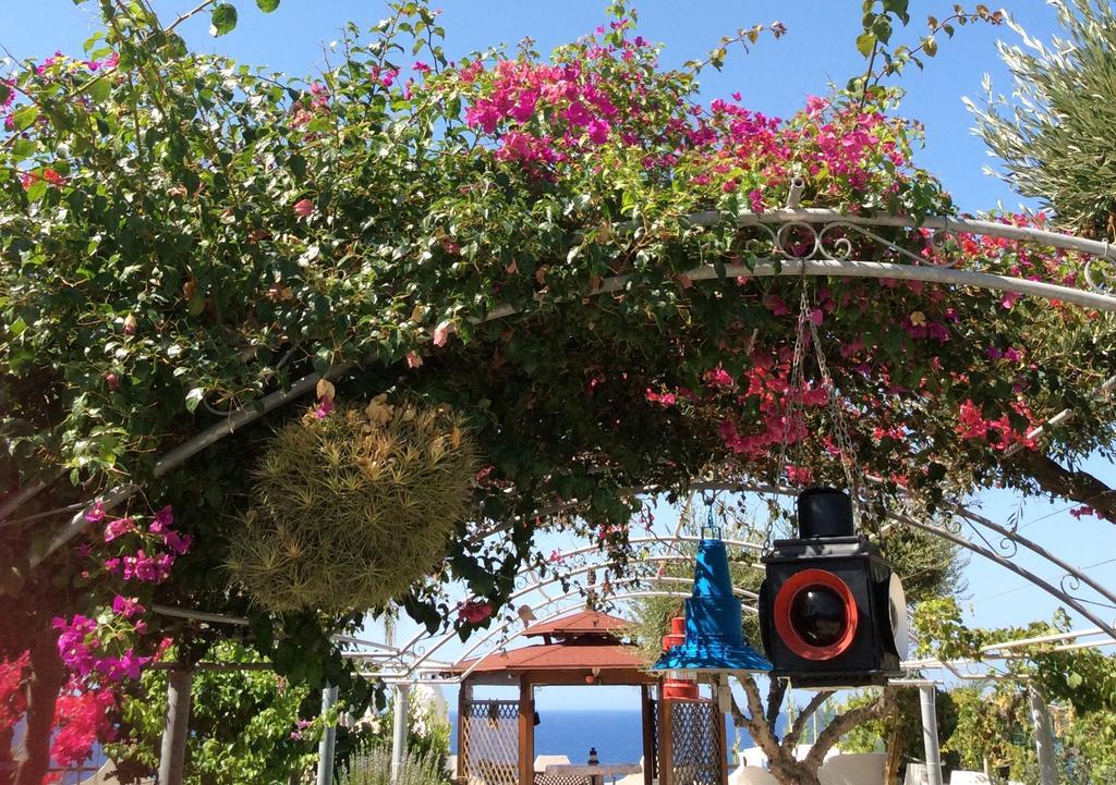 Appartamento Residenza Stefanelli Capo Vaticano Esterno foto