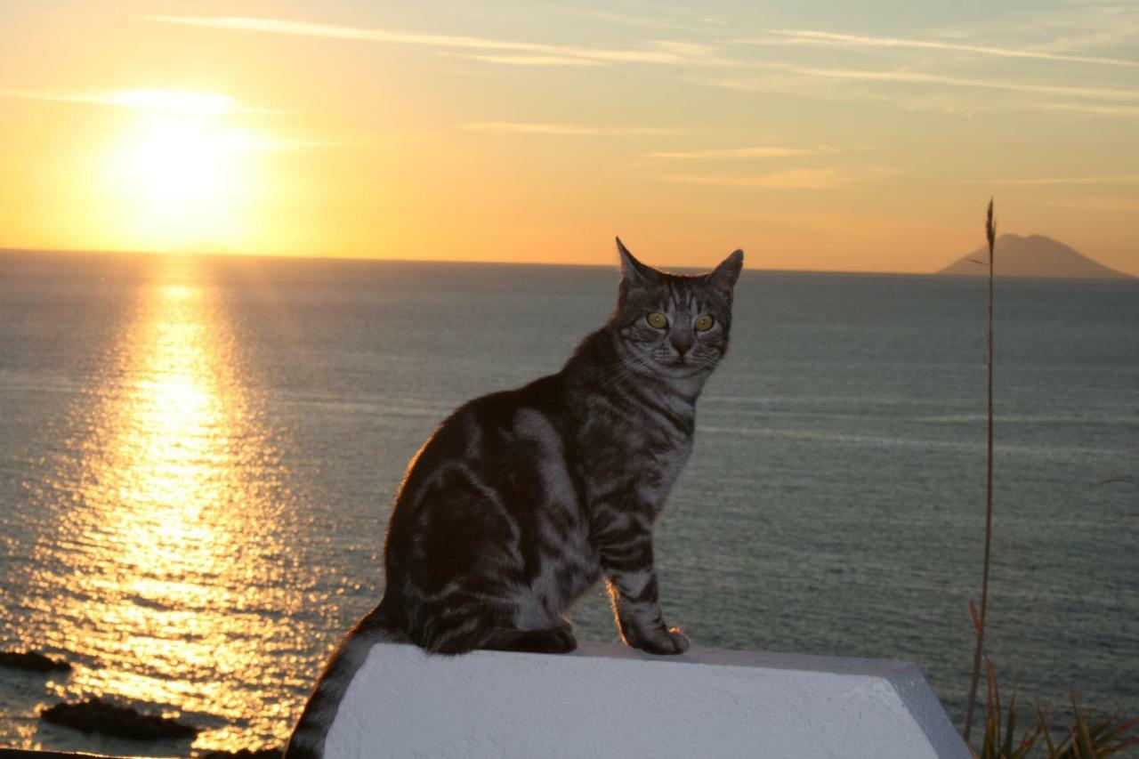 Appartamento Residenza Stefanelli Capo Vaticano Esterno foto